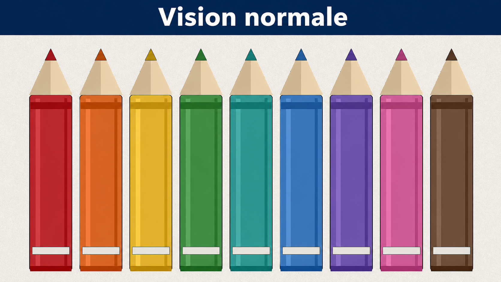 daltonisme crayons vision normale daltonisme crayons vision normale