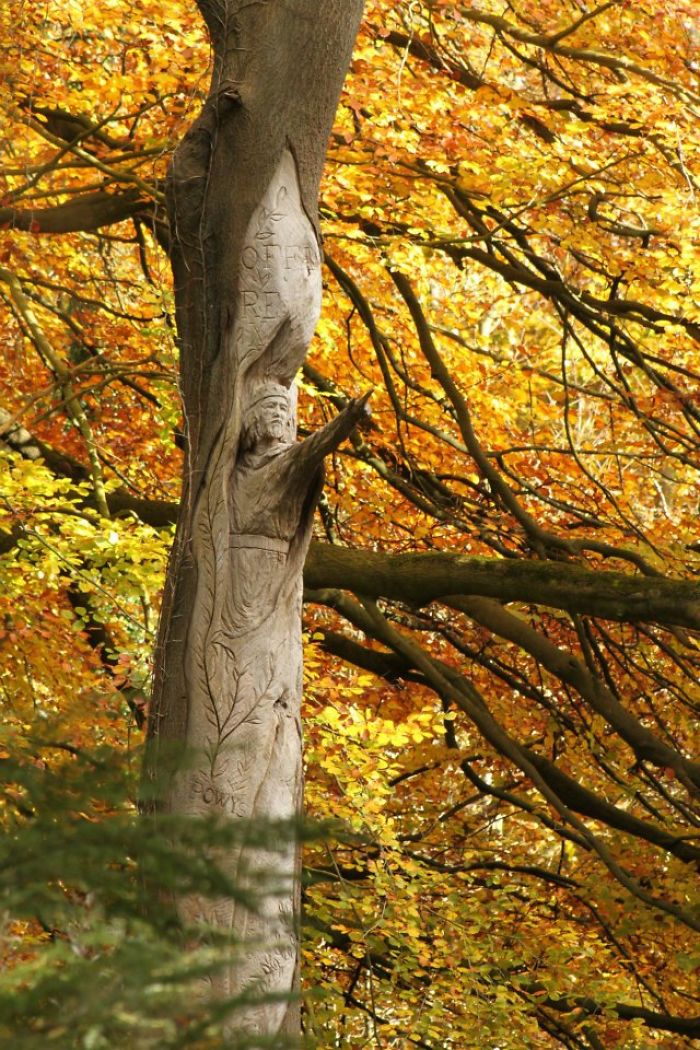 Les somptueuses sculptures à la tronçonneuse de Simon O'Rourke Les somptueuses sculptures a la tronconneuse de Simon O Rourke 14 Les somptueuses sculptures à la tronçonneuse de Simon O'Rourke 14