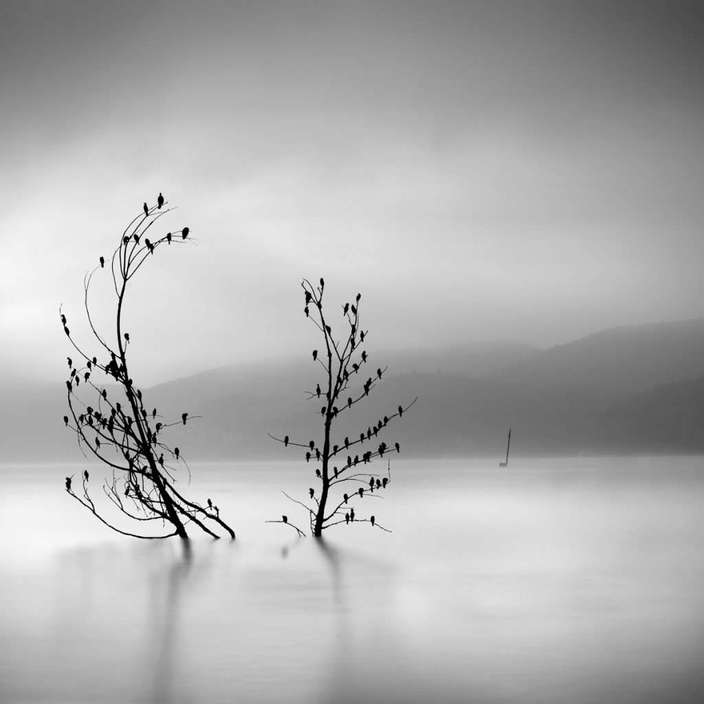 Les somptueuses minimalistes photos noir et blanc de nature de George Digalakis Les somptueuses minimalistes photos noir et blanc de nature de George Digalakis 4 Les-somptueuses-minimalistes-photos-noir-et-blanc-de-nature-de-George-Digalakis-4