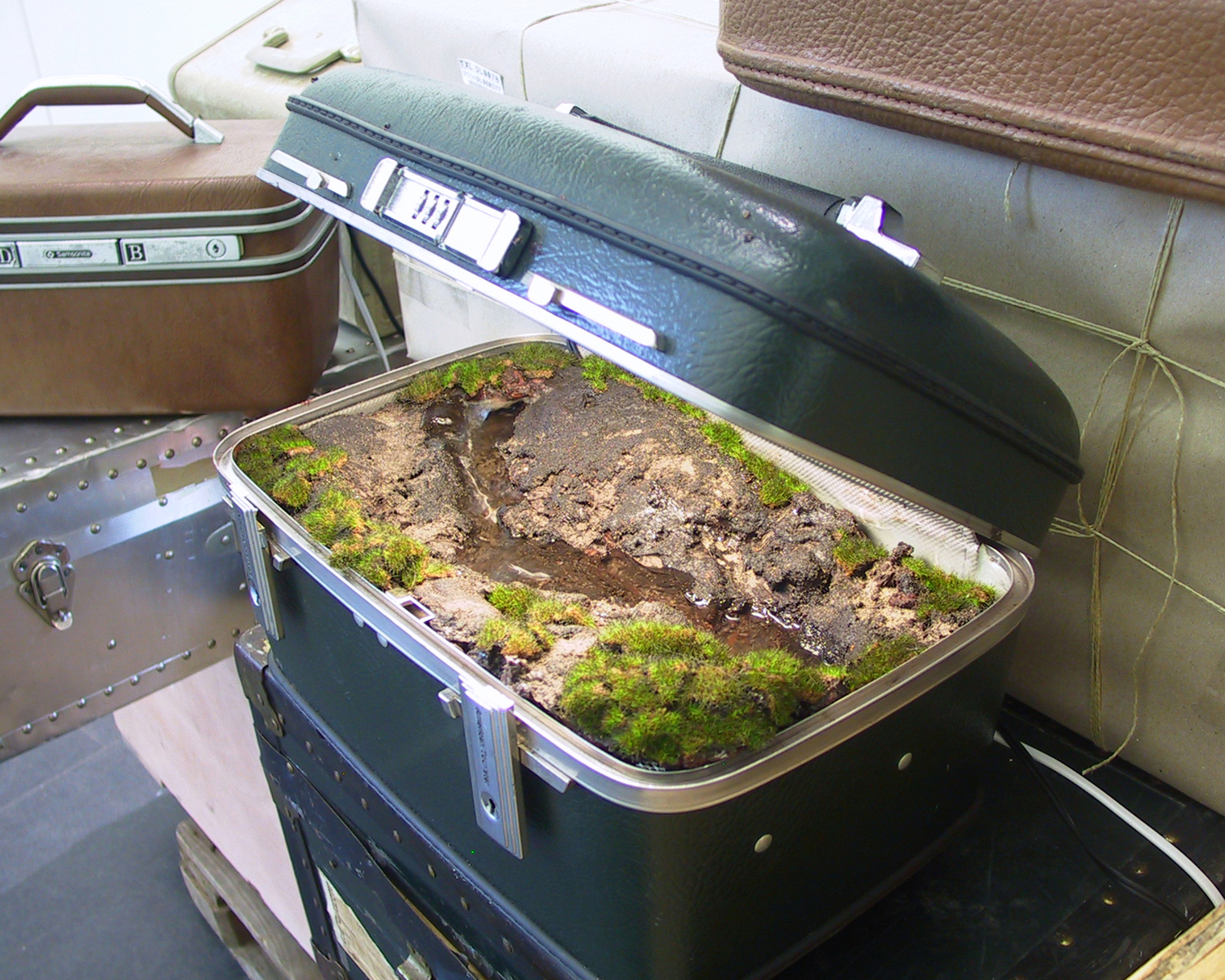 Traveling Landscapes : des paysages dans des valises par Kathleen Vance Traveling Landscapes des paysages dans des valises par Kathleen Vance 4 Traveling-Landscapes-des-paysages-dans-des-valises-par-Kathleen-Vance-4