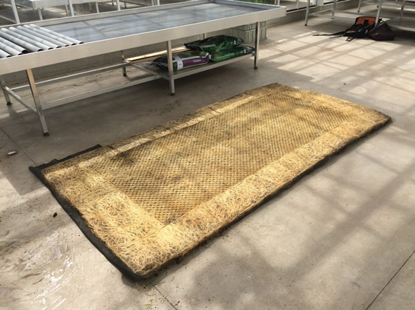 Des formes géométriques avec des racines de plantes par Diana Scherer des formes geometriques avec des racines de plantes par Diana Scherer 2 Des formes géométriques avec des racines de plantes par Diana Scherer 2