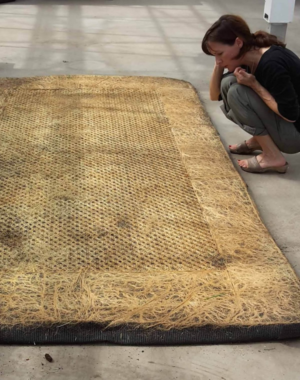 Des formes géométriques avec des racines de plantes par Diana Scherer des formes geometriques avec des racines de plantes par Diana Scherer 3 Des formes géométriques avec des racines de plantes par Diana Scherer 3