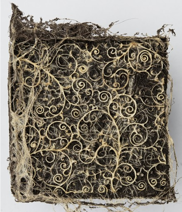 Des formes géométriques avec des racines de plantes par Diana Scherer des formes geometriques avec des racines de plantes par Diana Scherer 5 Des formes géométriques avec des racines de plantes par Diana Scherer 5