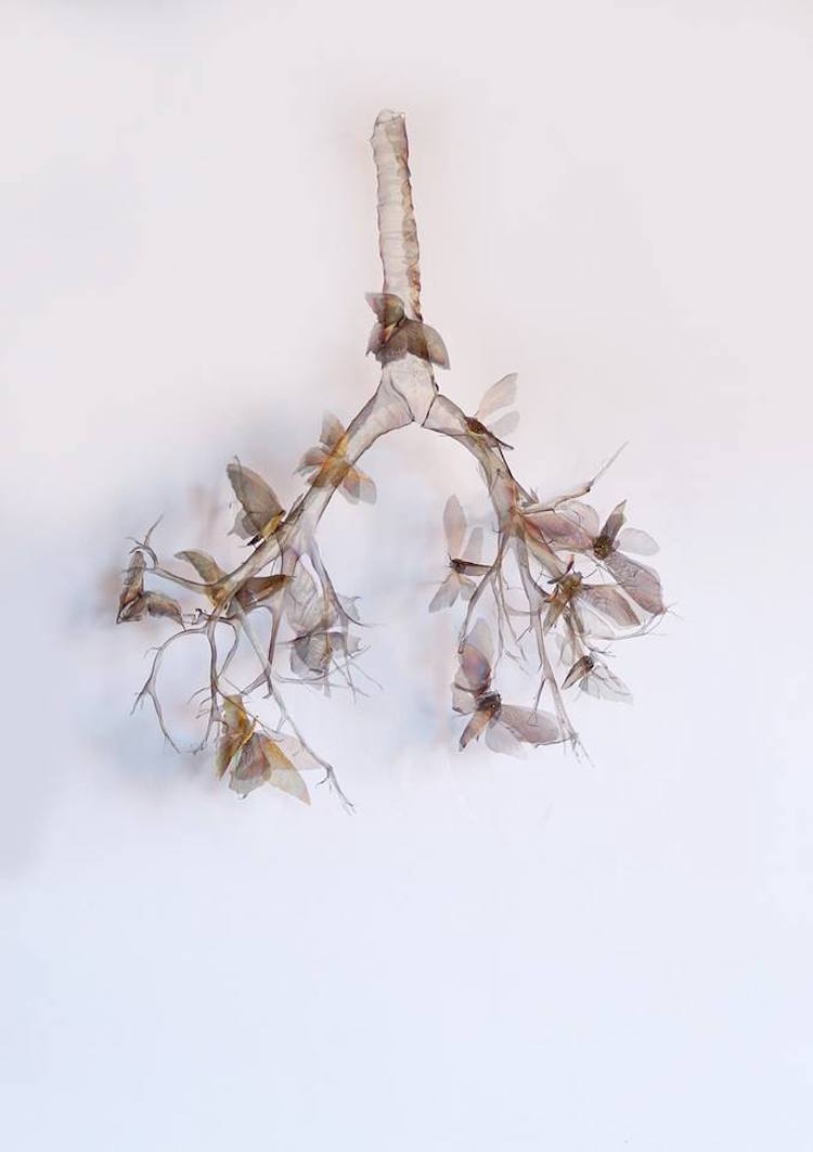 Les fantastiques sculptures en métal de la nature de Michelle McKinney Les fantastiques sculptures en metal de la nature de Michelle McKinney 14 Les fantastiques sculptures en métal de la nature de Michelle McKinney 14