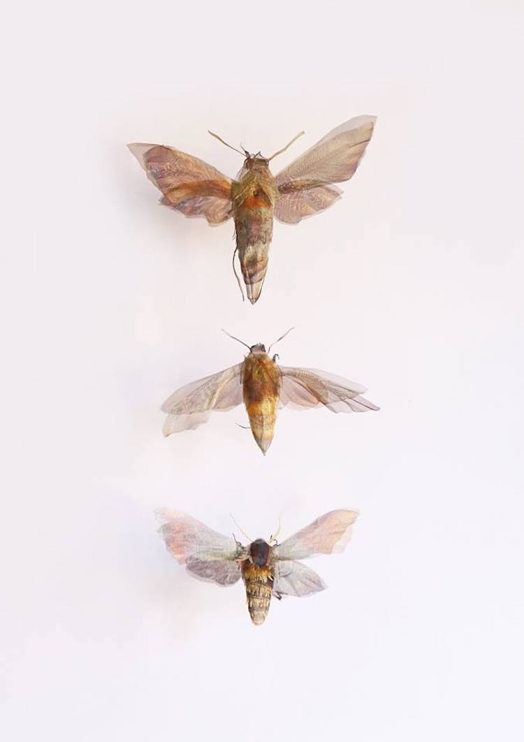 Les fantastiques sculptures en métal de la nature de Michelle McKinney Les fantastiques sculptures en metal de la nature de Michelle McKinney 16 Les fantastiques sculptures en métal de la nature de Michelle McKinney 16