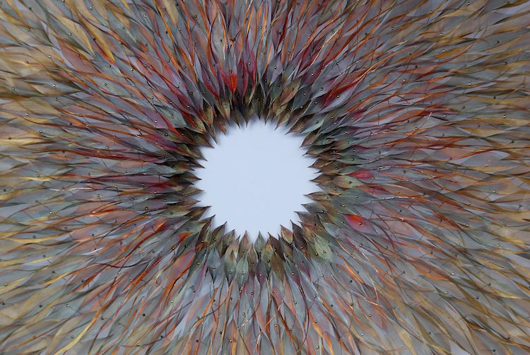 Les fantastiques sculptures en métal de la nature de Michelle McKinney Les fantastiques sculptures en metal de la nature de Michelle McKinney 8 Les fantastiques sculptures en métal de la nature de Michelle McKinney 8