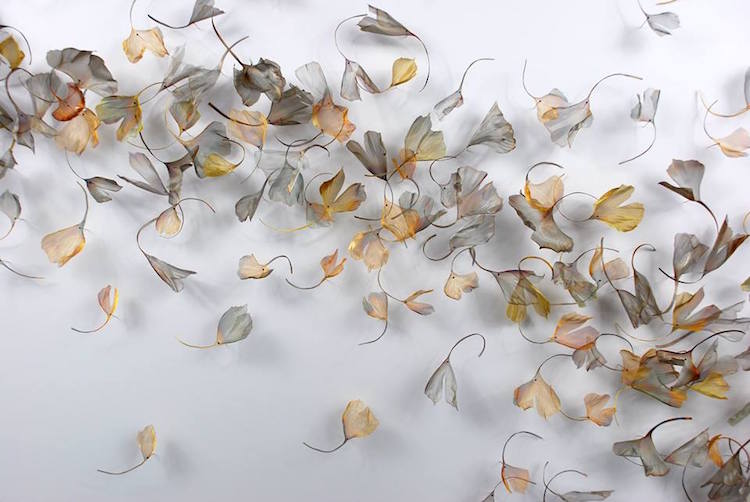 Les fantastiques sculptures en métal de la nature de Michelle McKinney Les fantastiques sculptures en metal de la nature de Michelle McKinney 9 Les fantastiques sculptures en métal de la nature de Michelle McKinney 9