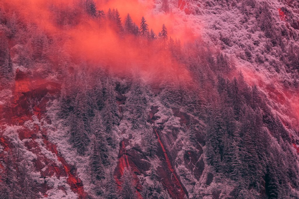 Les images des fjords d'Alaska en infra-rouge semblent venir d'un autre monde Les images des fjords d Alaska en infra rouge semblent venir d un autre monde 4 Les-images-des-fjords-d-Alaska-en-infra-rouge-semblent-venir-d-un-autre-monde-4