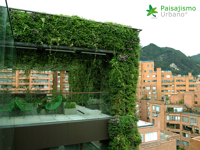 Un immeuble de Bogota détient le record du plus grand jardin vertical du monde un immeuble de Bogota est le plus grand jardin vertical du monde 4 un-immeuble-de-Bogota-est-le-plus-grand-jardin-vertical-du-monde-4