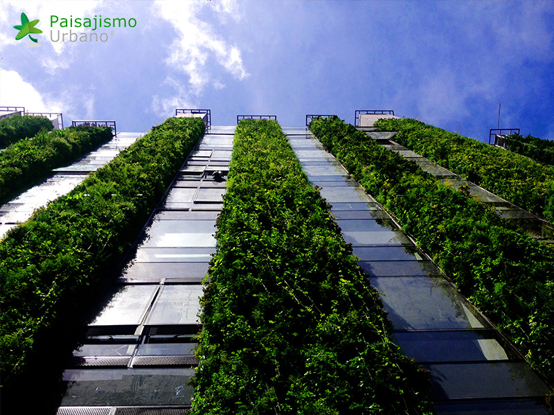Un immeuble de Bogota détient le record du plus grand jardin vertical du monde un immeuble de Bogota est le plus grand jardin vertical du monde 5 un-immeuble-de-Bogota-est-le-plus-grand-jardin-vertical-du-monde-5