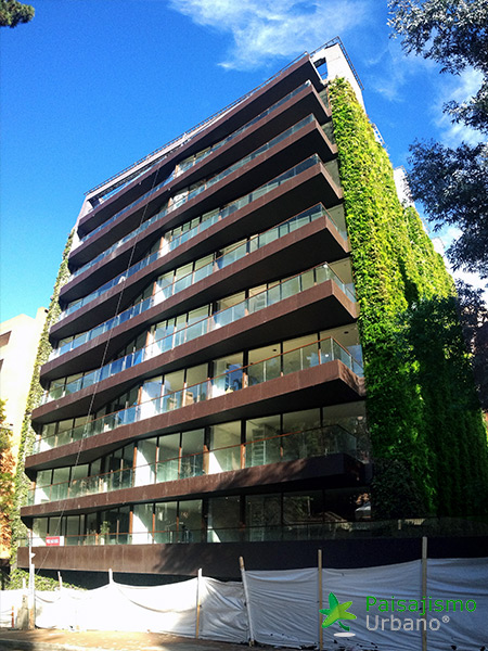 Un immeuble de Bogota détient le record du plus grand jardin vertical du monde un immeuble de Bogota est le plus grand jardin vertical du monde 6 un-immeuble-de-Bogota-est-le-plus-grand-jardin-vertical-du-monde-6