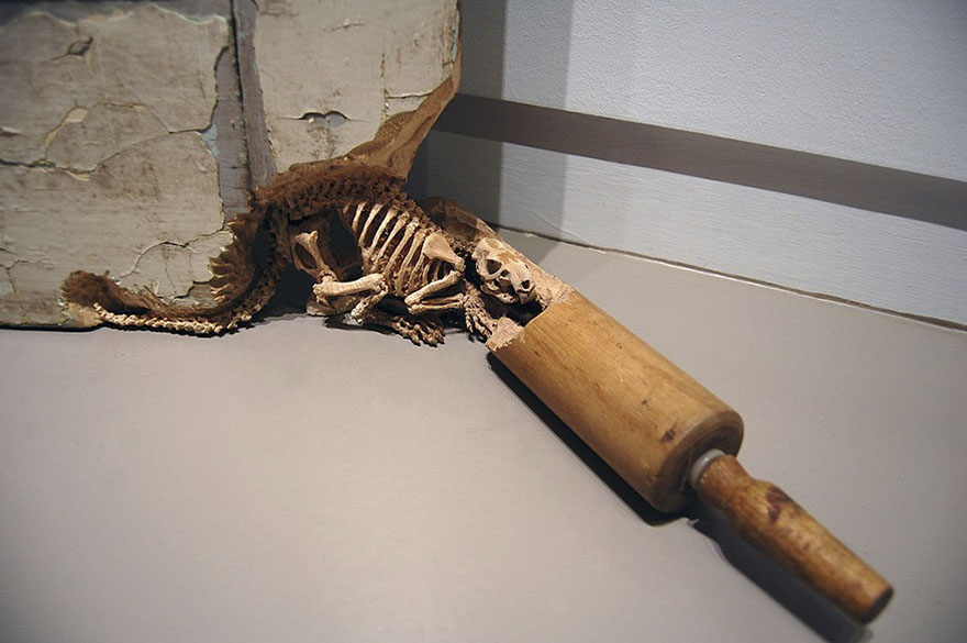 Une incroyable sculpture d'un tronc scindé par une corde effilochée par Maskull Lasserre une incroyable sculpture d un tronc scinde par une corde effilochee par Maskull Lasserre 15 sculptures de Maskull Lasserre 9