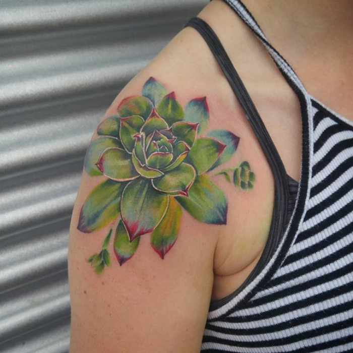 25 magnifiques tatouages de succulents 25 magnifiques tatouages de succulents 16 25 magnifiques tatouages de succulents 16