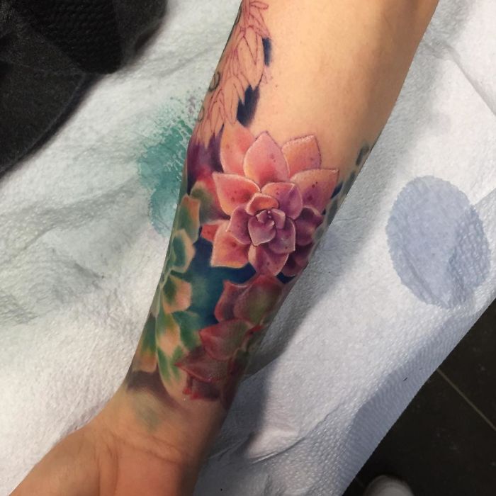 25 magnifiques tatouages de succulents 25 magnifiques tatouages de succulents 22 25 magnifiques tatouages de succulents 22