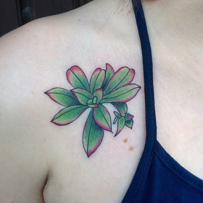 25 magnifiques tatouages de succulents 25 magnifiques tatouages de succulents 23 25 magnifiques tatouages de succulents 23