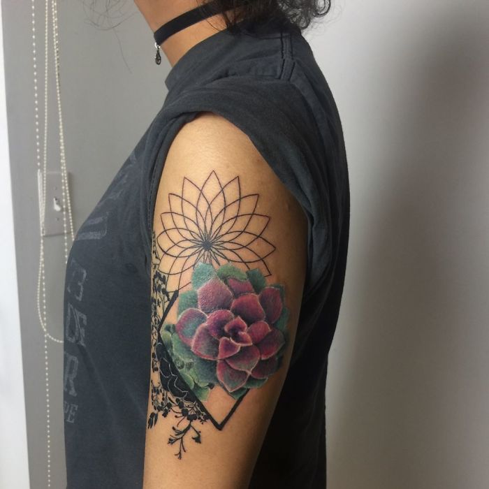 25 magnifiques tatouages de succulents 25 magnifiques tatouages de succulents 24 25 magnifiques tatouages de succulents 24