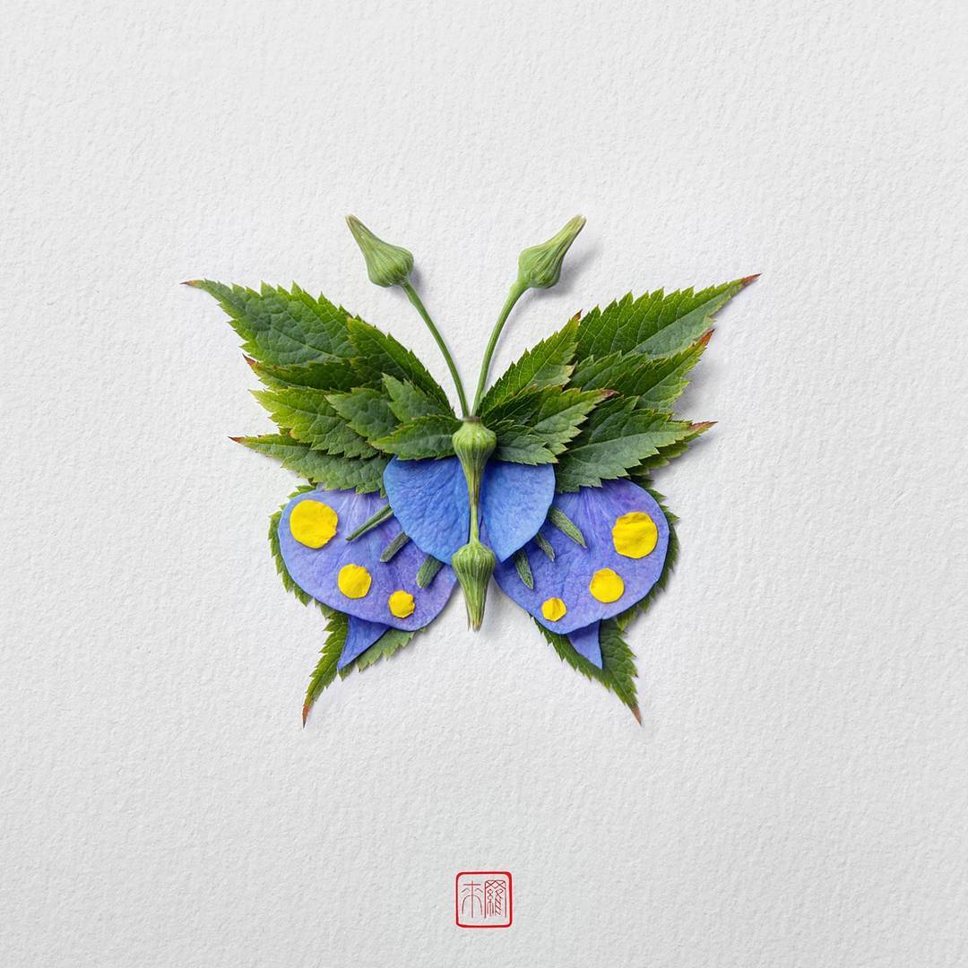 Des insectes avec des arrangements de fleurs et de plantes par Raku Inoue Les papillons de fleurs et autres insectes de Raku Inoue 5 Les-papillons-de-fleurs-et-autres-insectes-de-Raku-Inoue-5