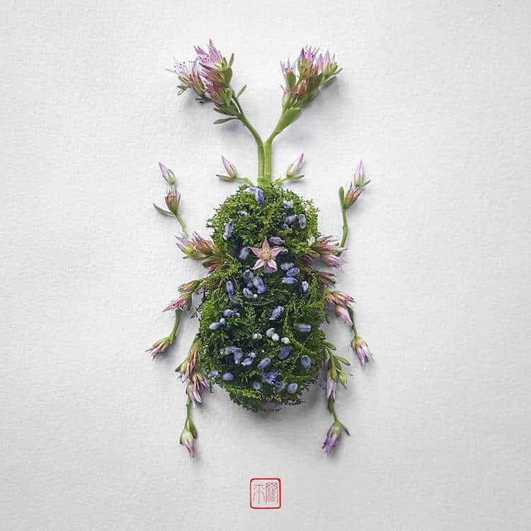 Des insectes avec des arrangements de fleurs et de plantes par Raku Inoue des insectes avec des arrangements de fleurs et de plantes par Raku Inoue 2 Des insectes avec des arrangements de fleurs et de plantes par Raku Inoue 3