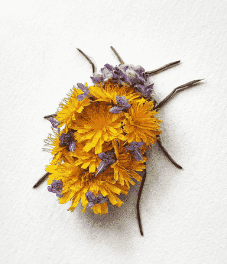 Des insectes avec des arrangements de fleurs et de plantes par Raku Inoue des insectes avec des arrangements de fleurs et de plantes par Raku Inoue 6 Des insectes avec des arrangements de fleurs et de plantes par Raku Inoue 7