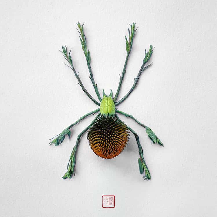 Des insectes avec des arrangements de fleurs et de plantes par Raku Inoue des insectes avec des arrangements de fleurs et de plantes par Raku Inoue 7 Des insectes avec des arrangements de fleurs et de plantes par Raku Inoue 8
