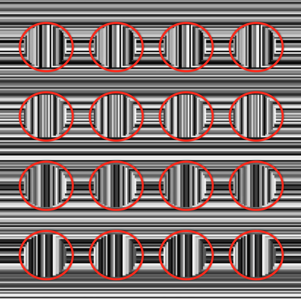Il y a 16 cercles dans cette image mais tout le monde ne peut pas les voir illusion optique pouvez vous voir les 12 points en meme temps solution illusion-optique-pouvez-vous-voir-les-12-points-en-meme-temps-solution