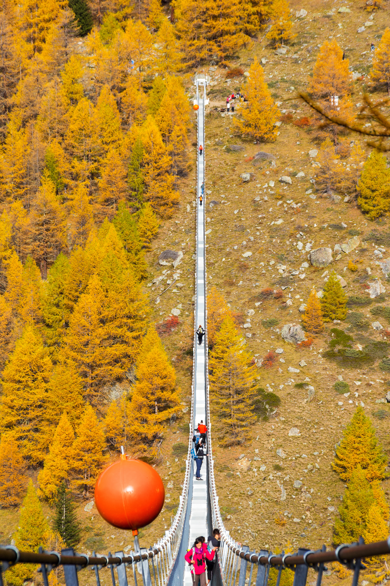 Le pont suspendu Charles Kuonen, la passerelle vertigineuse des Alpes suisses le pont charles kuonen passerelle alpes suisses zermatt grache 3 le-pont-charles-kuonen-passerelle-alpes-suisses-zermatt-grache-3