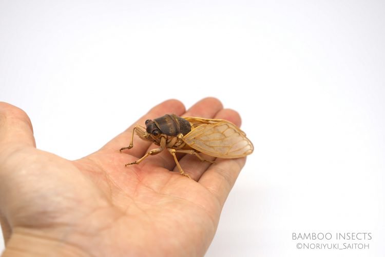 Les délicates sculptures d'insectes en bambou de Noriyuki Saitoh Les delicates sculptures d insectes en bambou de Noriyuki Saitoh 9 Les délicates sculptures d'insectes en bambou de Noriyuki Saitoh 9
