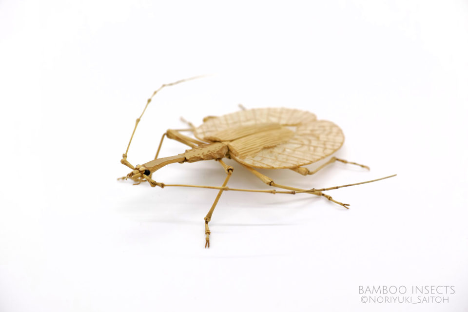 Les délicates sculptures d'insectes en bambou de Noriyuki Saitoh de nouvelles magnifiques sculptures d insectes en bambou de Noriyuki Saitoh 3 de-nouvelles-magnifiques-sculptures-d-insectes-en-bambou-de-Noriyuki-Saitoh-3