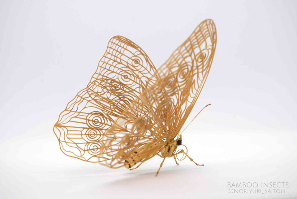 Les délicates sculptures d'insectes en bambou de Noriyuki Saitoh de nouvelles magnifiques sculptures d insectes en bambou de Noriyuki Saitoh 5 de-nouvelles-magnifiques-sculptures-d-insectes-en-bambou-de-Noriyuki-Saitoh-5