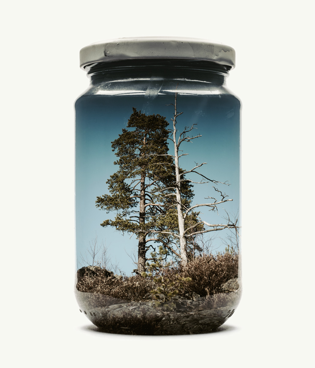 Des paysages en double exposition dans des bocaux par Christoffer Relander des paysages en double exposition dans des bocaux par Christoffer Relander 2 des-paysages-en-double-exposition-dans-des-bocaux-par-Christoffer-Relander-2