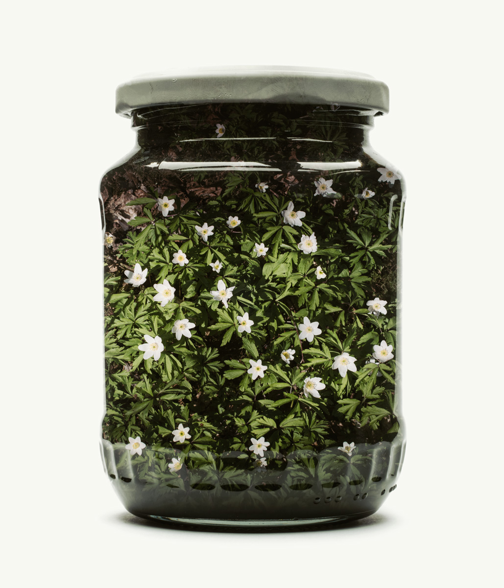 Des paysages en double exposition dans des bocaux par Christoffer Relander des paysages en double exposition dans des bocaux par Christoffer Relander 8 des-paysages-en-double-exposition-dans-des-bocaux-par-Christoffer-Relander-7