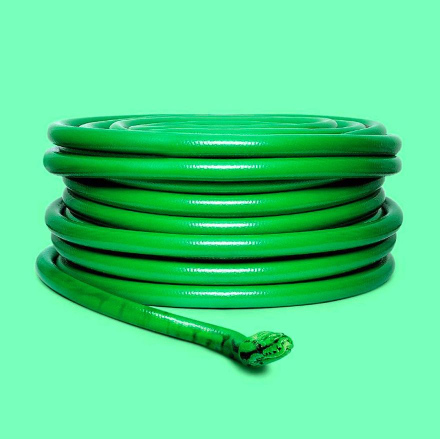 Les combinaisons d'objets et d'animaux perturbantes de Randy Lewis Les combinaisons d objets et d animaux perturbantes de Randy Lewis 13 Les combinaisons d'objets et d'animaux perturbantes de Randy Lewis - Serpent tuyau