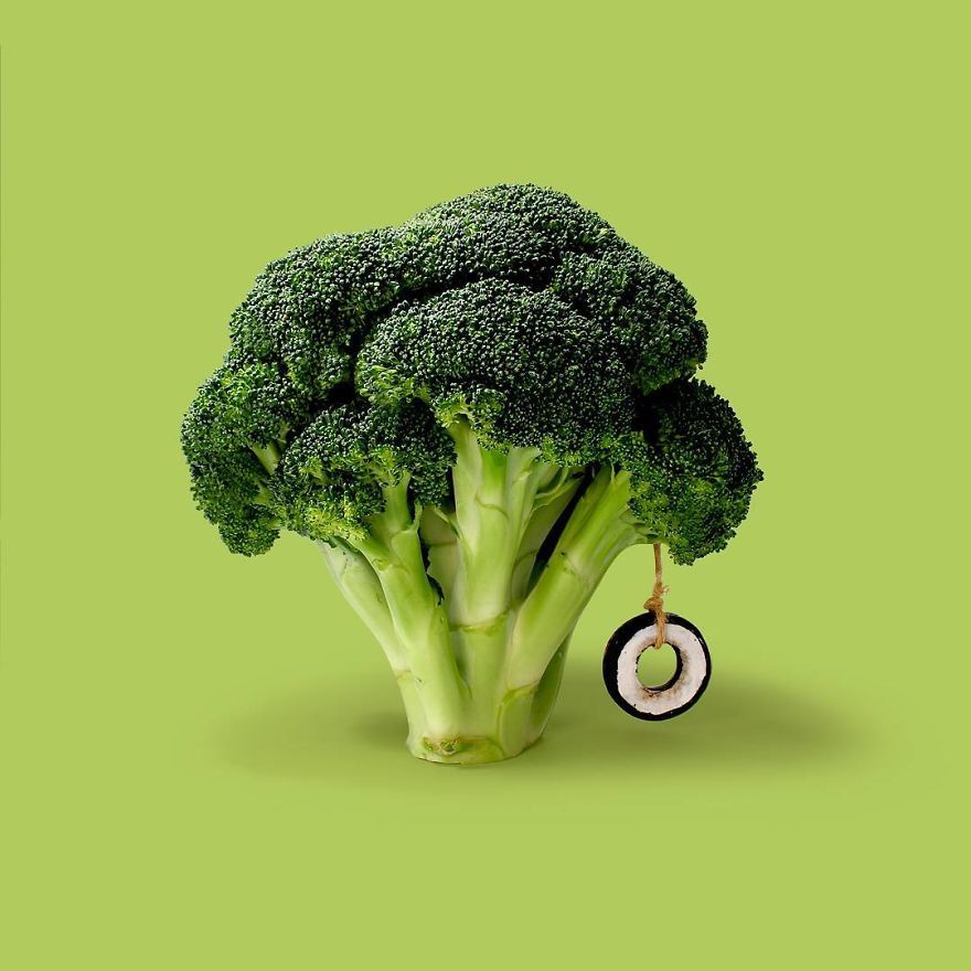 Les combinaisons d'objets et d'animaux perturbantes de Randy Lewis Les combinaisons d objets et d animaux perturbantes de Randy Lewis 14 Les combinaisons d'objets et d'animaux perturbantes de Randy Lewis - Arbre brocoli