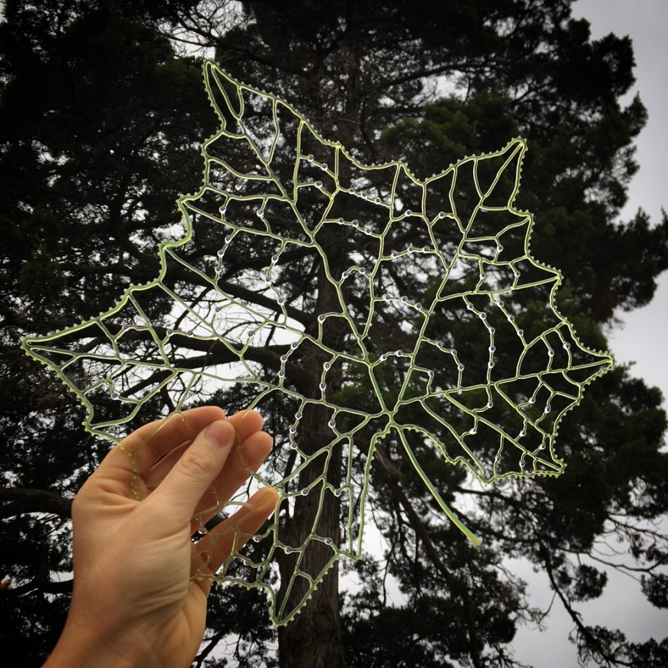 Les sculptures de verre portables et autres de Kit Paulson Les sculptures de verre portables et autres de Kit Paulson 3 Les sculptures de verre portables et autres de Kit Paulson 3