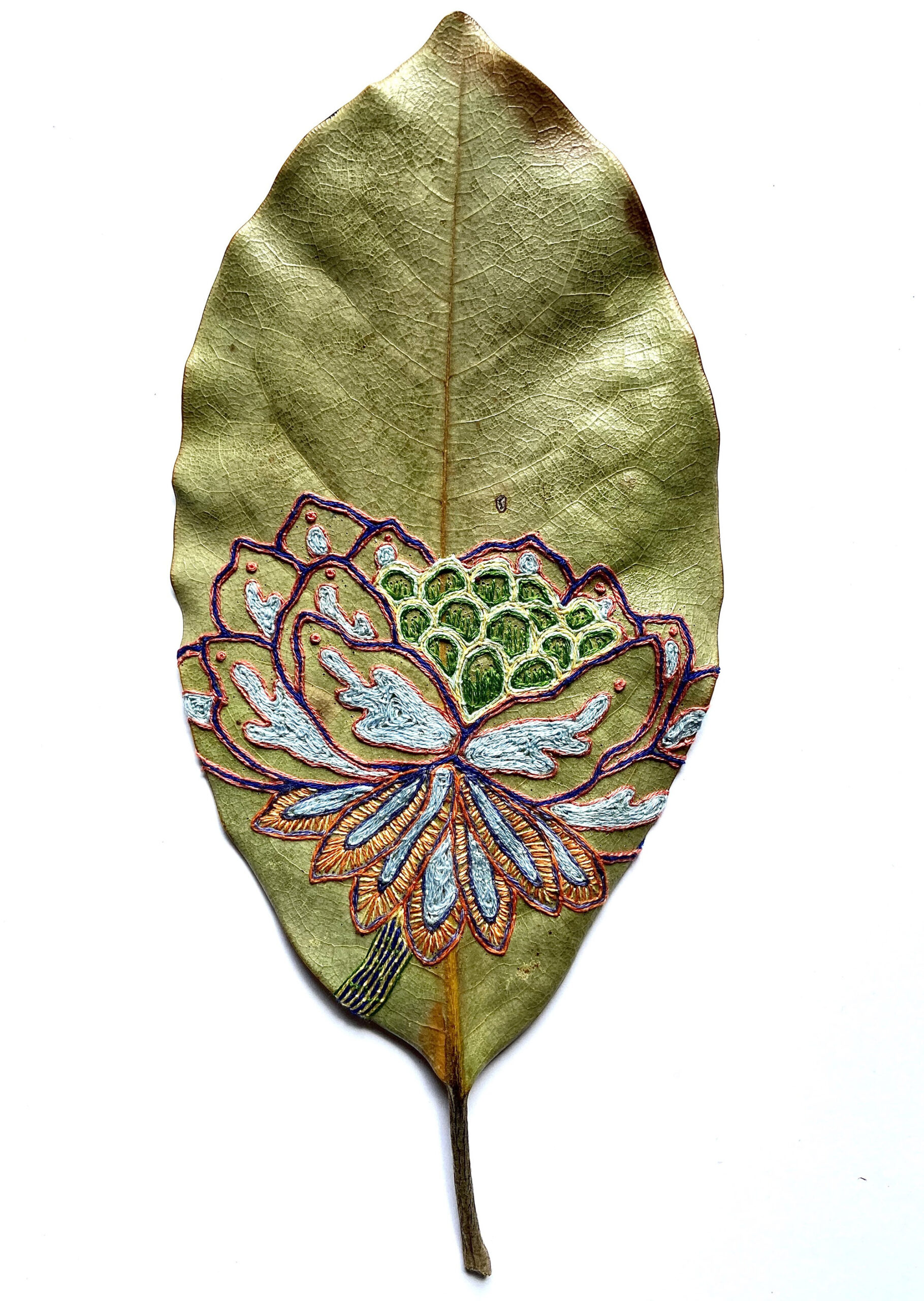 Les délicates broderies sur des feuilles de Hillary Waters Fayle : quand la nature se fait toile de nouvelles broderies sur des feuilles par Hillary Fayle 2 de-nouvelles-broderies-sur-des-feuilles-par-Hillary-Fayle-2