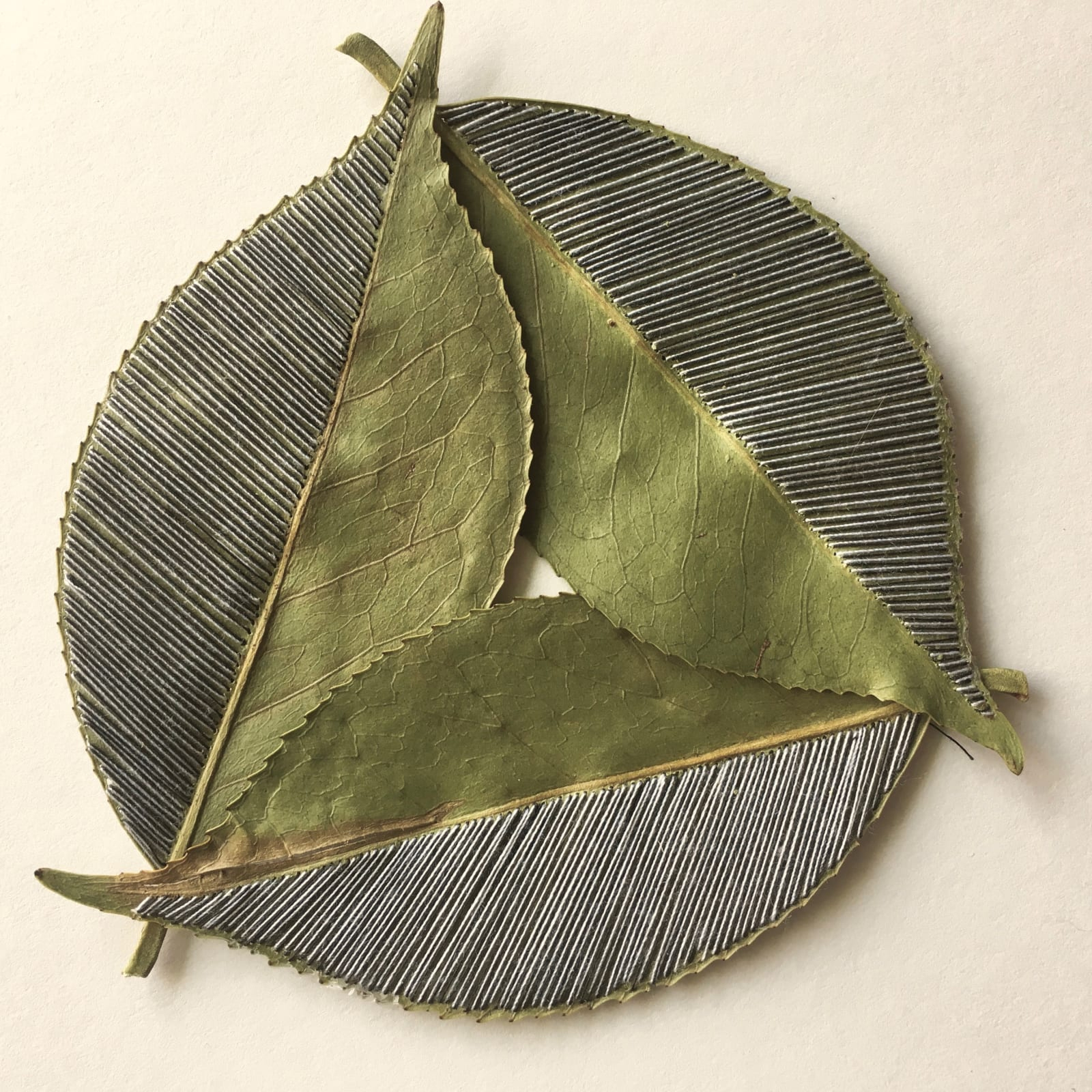 Les délicates broderies sur des feuilles de Hillary Waters Fayle : quand la nature se fait toile de nouvelles broderies sur des feuilles par Hillary Fayle 6 de-nouvelles-broderies-sur-des-feuilles-par-Hillary-Fayle-6