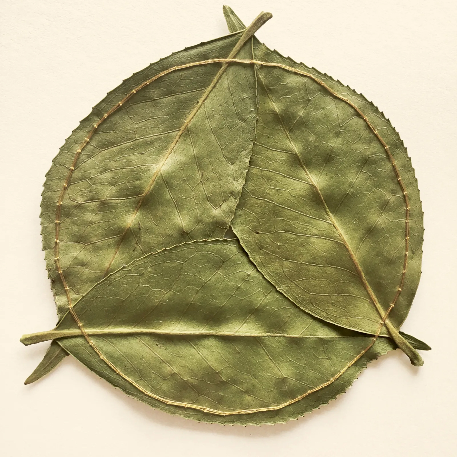 Les délicates broderies sur des feuilles de Hillary Waters Fayle : quand la nature se fait toile de nouvelles broderies sur des feuilles par Hillary Fayle 8 de-nouvelles-broderies-sur-des-feuilles-par-Hillary-Fayle-8