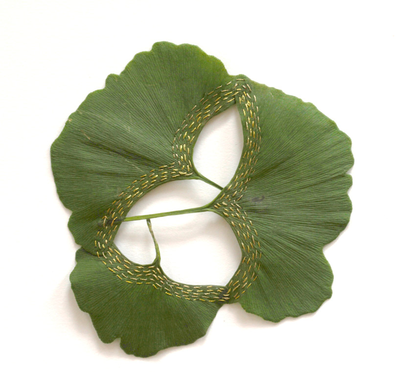 Les délicates broderies sur des feuilles de Hillary Waters Fayle : quand la nature se fait toile les delicates broderies sur des feuilles de Hillary Fayle 14 Les délicates broderies sur des feuilles de Hillary Waters Fayle : quand la nature se fait toile 14