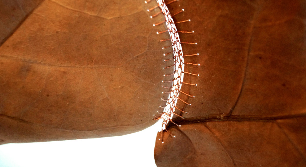 Les délicates broderies sur des feuilles de Hillary Waters Fayle : quand la nature se fait toile les delicates broderies sur des feuilles de Hillary Fayle 16 Les délicates broderies sur des feuilles de Hillary Waters Fayle : quand la nature se fait toile 15