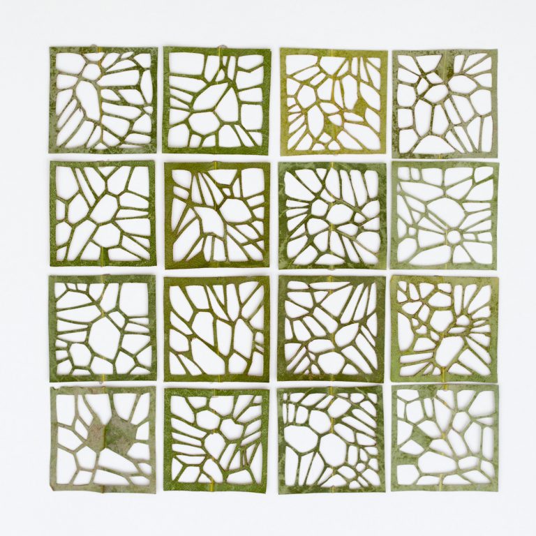 Les délicates broderies sur des feuilles de Hillary Waters Fayle : quand la nature se fait toile les delicates broderies sur des feuilles de Hillary Fayle 2 Les délicates broderies sur des feuilles de Hillary Waters Fayle : quand la nature se fait toile 2