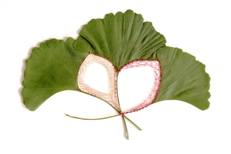 Les délicates broderies sur des feuilles de Hillary Waters Fayle : quand la nature se fait toile les delicates broderies sur des feuilles de Hillary Fayle 3 Les délicates broderies sur des feuilles de Hillary Waters Fayle : quand la nature se fait toile 3