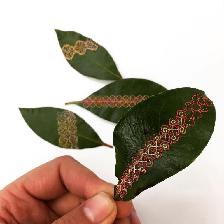 Les délicates broderies sur des feuilles de Hillary Waters Fayle : quand la nature se fait toile les delicates broderies sur des feuilles de Hillary Fayle 5 Les délicates broderies sur des feuilles de Hillary Waters Fayle : quand la nature se fait toile 5