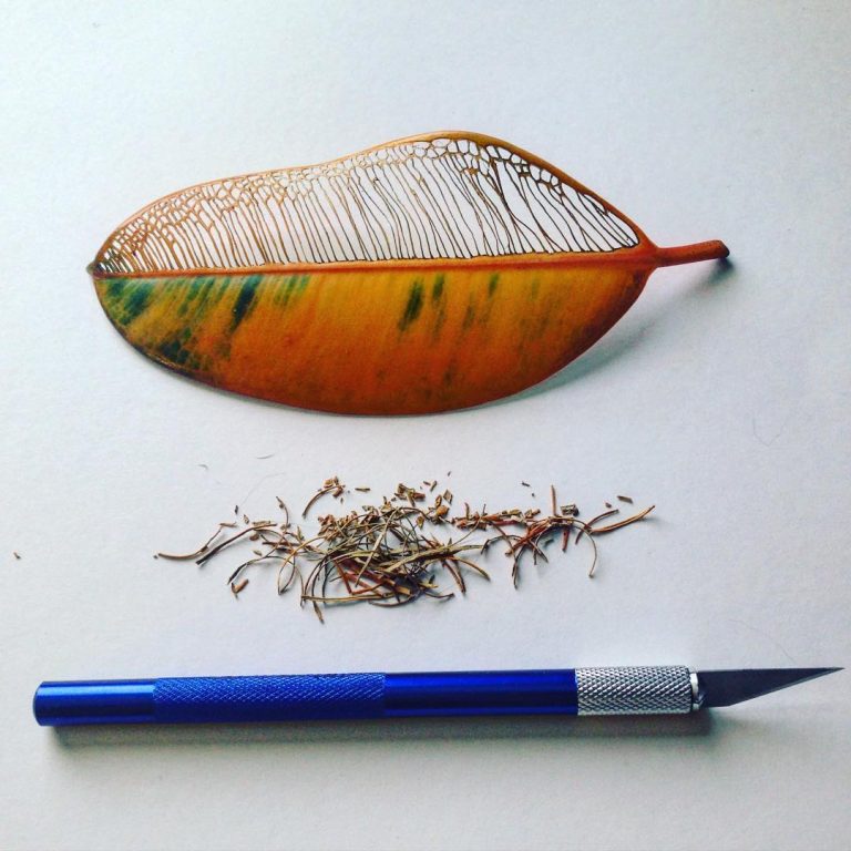 Les délicates broderies sur des feuilles de Hillary Waters Fayle : quand la nature se fait toile les delicates broderies sur des feuilles de Hillary Fayle 9 Les délicates broderies sur des feuilles de Hillary Waters Fayle : quand la nature se fait toile 9