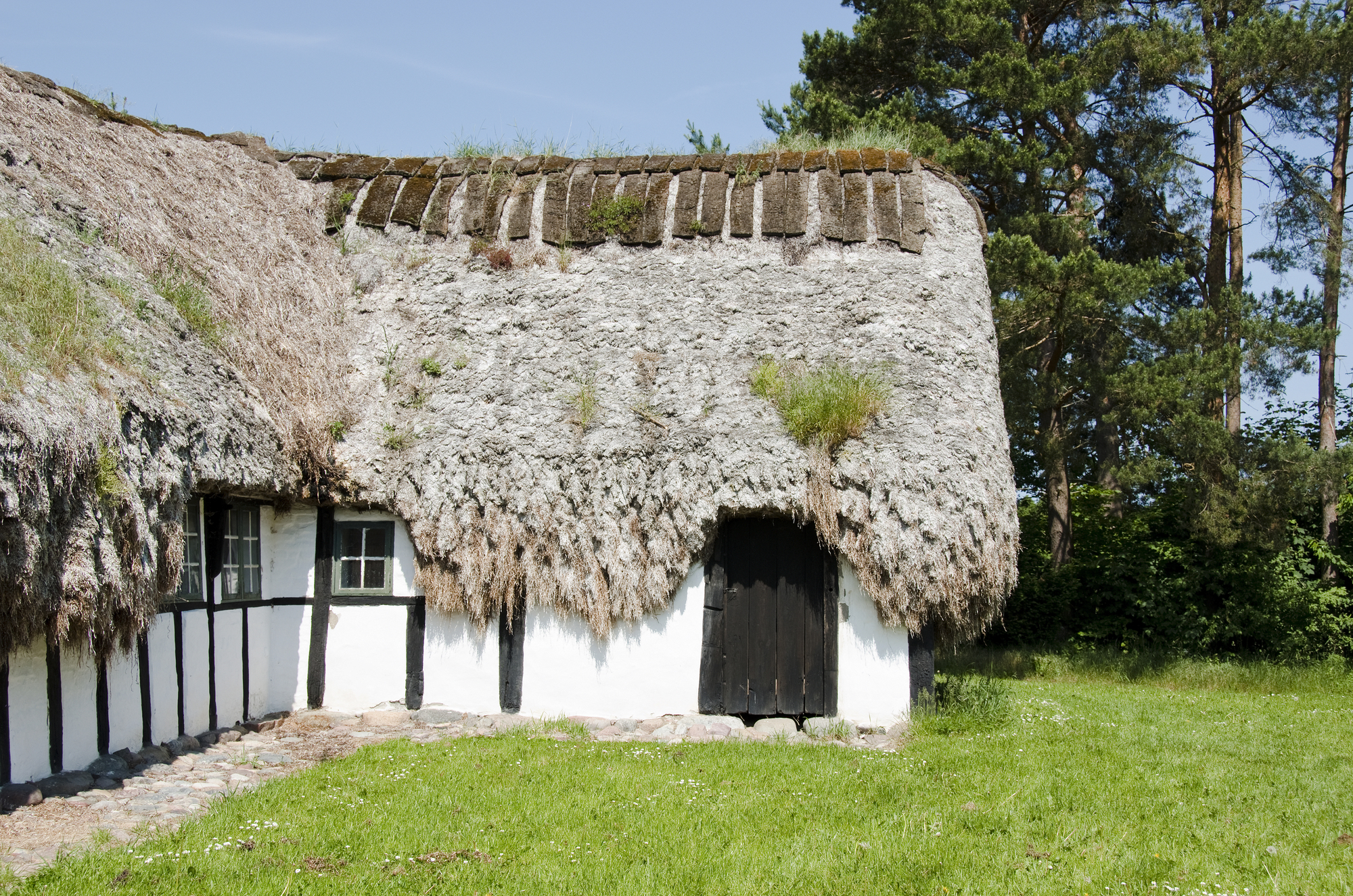 Les maisons au toit en algue de l'île de Læsø, patrimoine durable du Danemark Les maisons au toit en algue de l ile de Laeso danemark 8 Les-maisons-au-toit-en-algue-de-l-ile-de-Laeso-danemark-8