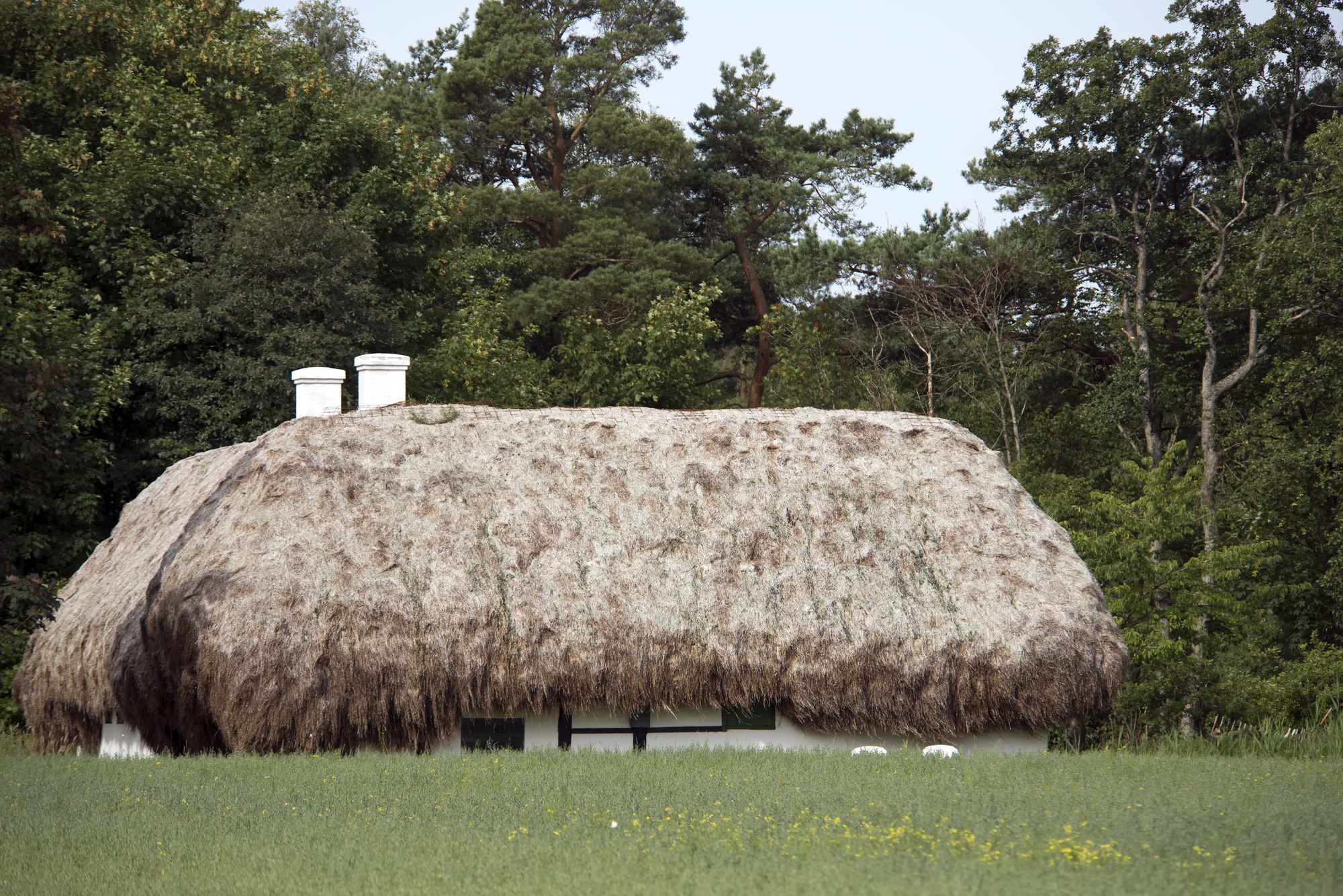 Les maisons au toit en algue de l'île de Læsø, patrimoine durable du Danemark Les maisons au toit en algue de l ile de Laeso danemark 9 Les-maisons-au-toit-en-algue-de-l-ile-de-Laeso-danemark-9