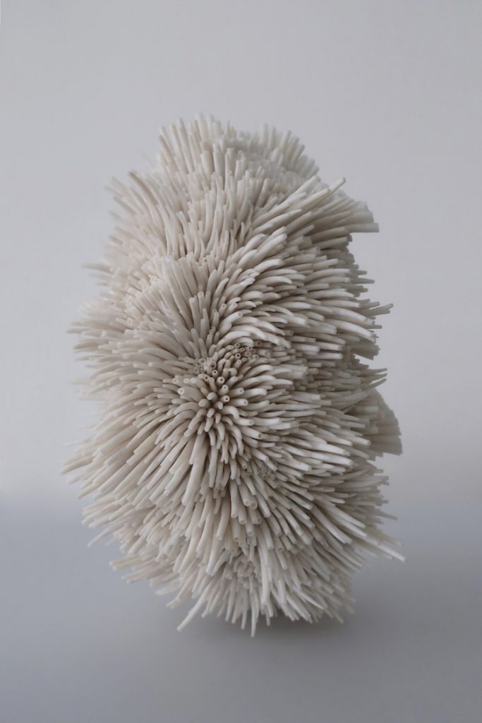 Les sculptures de coquillages de Rowan Mersh Les sculptures de coquillages de Rowan Mersh 10 Les-sculptures-de-coquillages-de-Rowan-Mersh-10