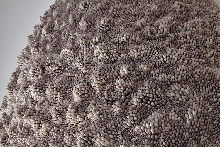 Les sculptures de coquillages de Rowan Mersh Les sculptures de coquillages de Rowan Mersh 17 Les-sculptures-de-coquillages-de-Rowan-Mersh-17