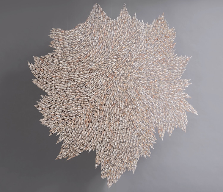 Les sculptures de coquillages de Rowan Mersh Les sculptures de coquillages de Rowan Mersh 6 Les-sculptures-de-coquillages-de-Rowan-Mersh-6