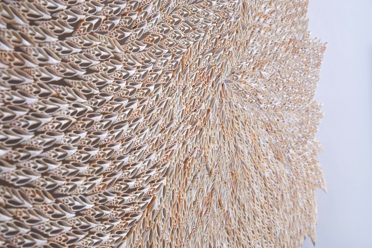 Les sculptures de coquillages de Rowan Mersh Les sculptures de coquillages de Rowan Mersh 8 Les-sculptures-de-coquillages-de-Rowan-Mersh-8