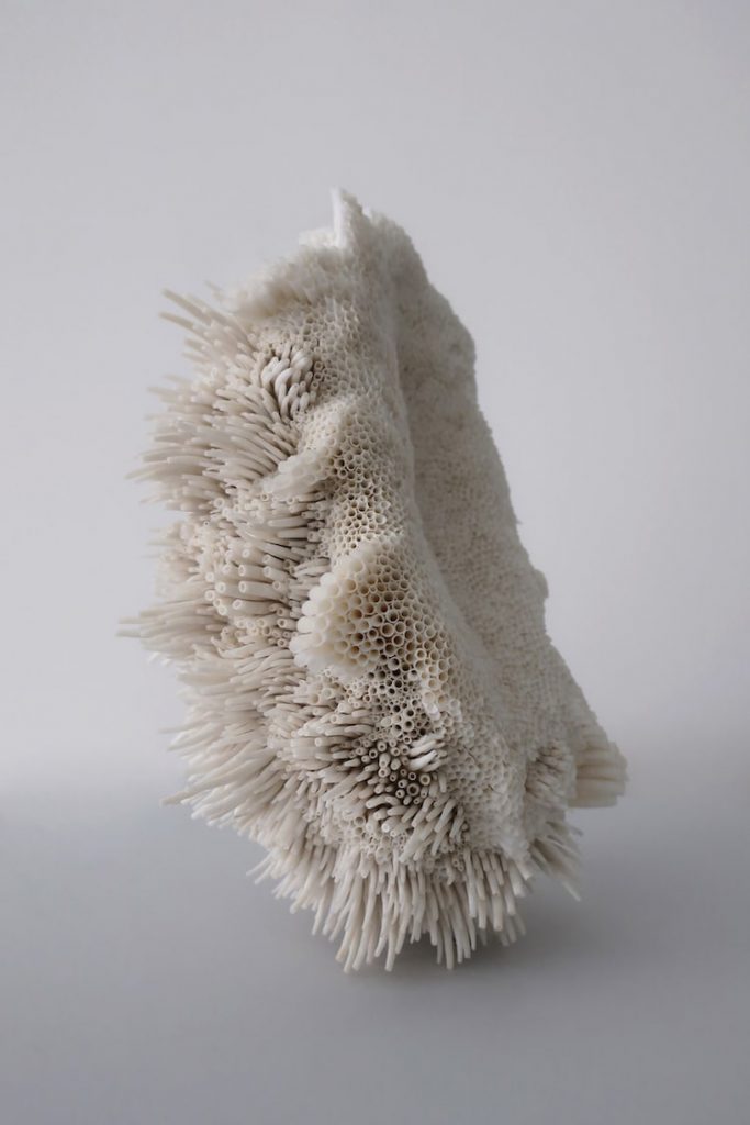 Les sculptures de coquillages de Rowan Mersh Les sculptures de coquillages de Rowan Mersh 9 Les-sculptures-de-coquillages-de-Rowan-Mersh-9